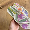 Chinelo De Dedo Ipanema Sem Igual 25483