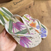 Chinelo De Dedo Ipanema Sem Igual 25483