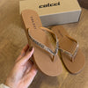 Chinelo De Dedo Colcci Fiji 158.01.02030