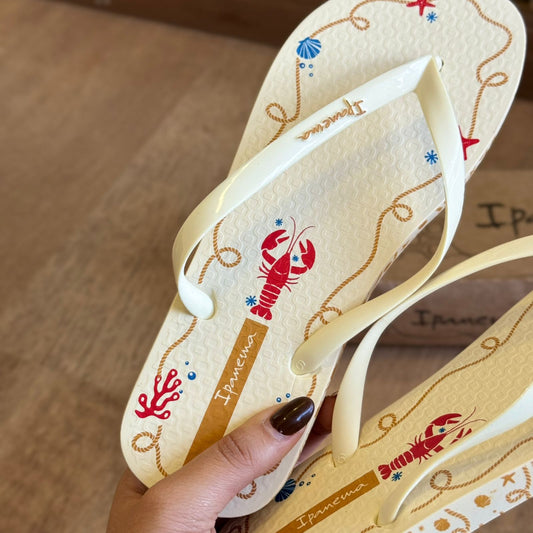 Chinelo De Dedo Ipanema Navy 27220
