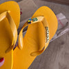 Havaianas Top + Pin Tucano + Pin Brasil + Placa Logo