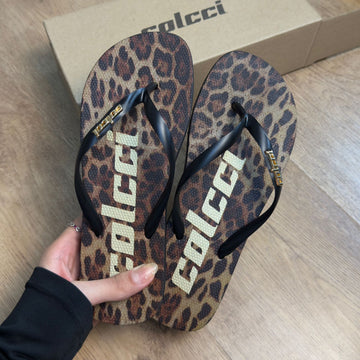 Chinelo Colcci fiji  Animal Print 158.01.02450